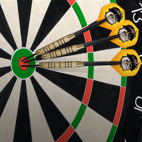 Duel Dart Set