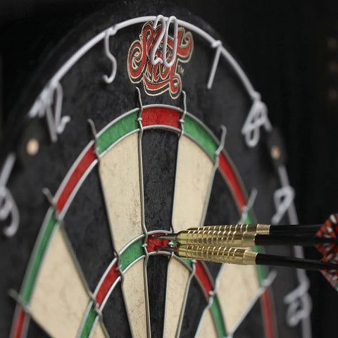 Renegade Bristle Dartboard